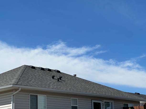 Best Roof Leak Repair  in Oakland, PA