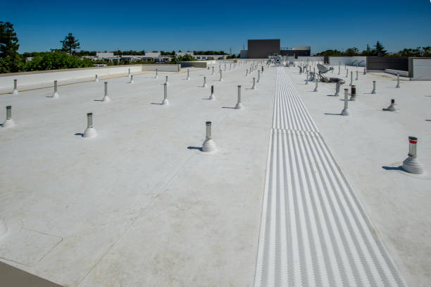 Best Steel Roofing  in Oakland, PA